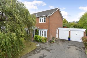 Photo 21- click for photo gallery